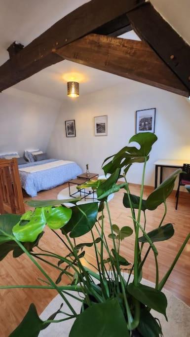 Appartement Grand Duplex Du Beffroi à Douai Extérieur photo